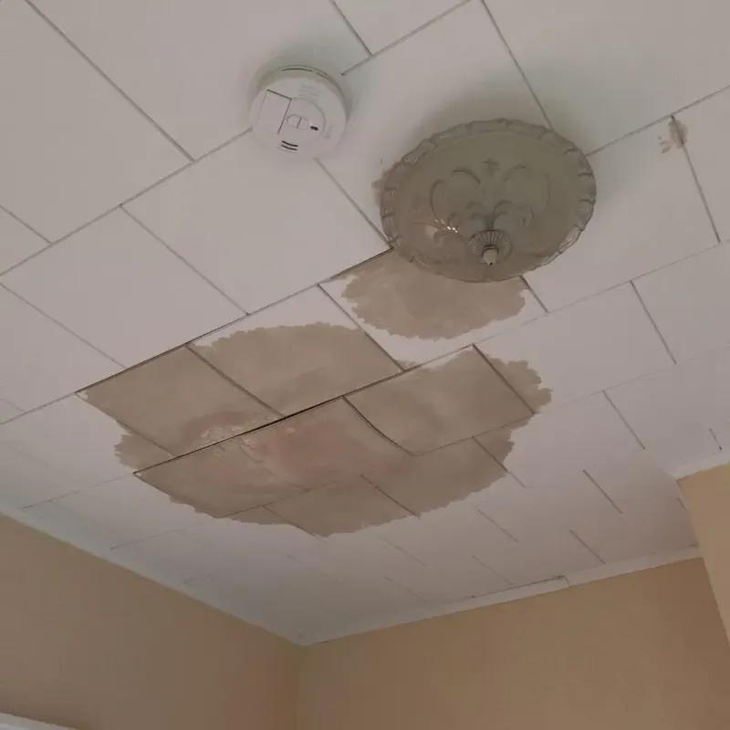 Ceiling Water Damage Repair in Cleveland, AL