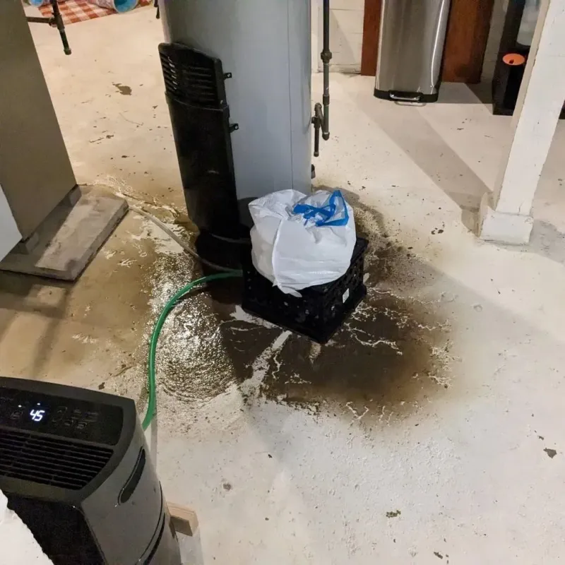 Sewage Backup Cleanup Service in Cleveland, AL